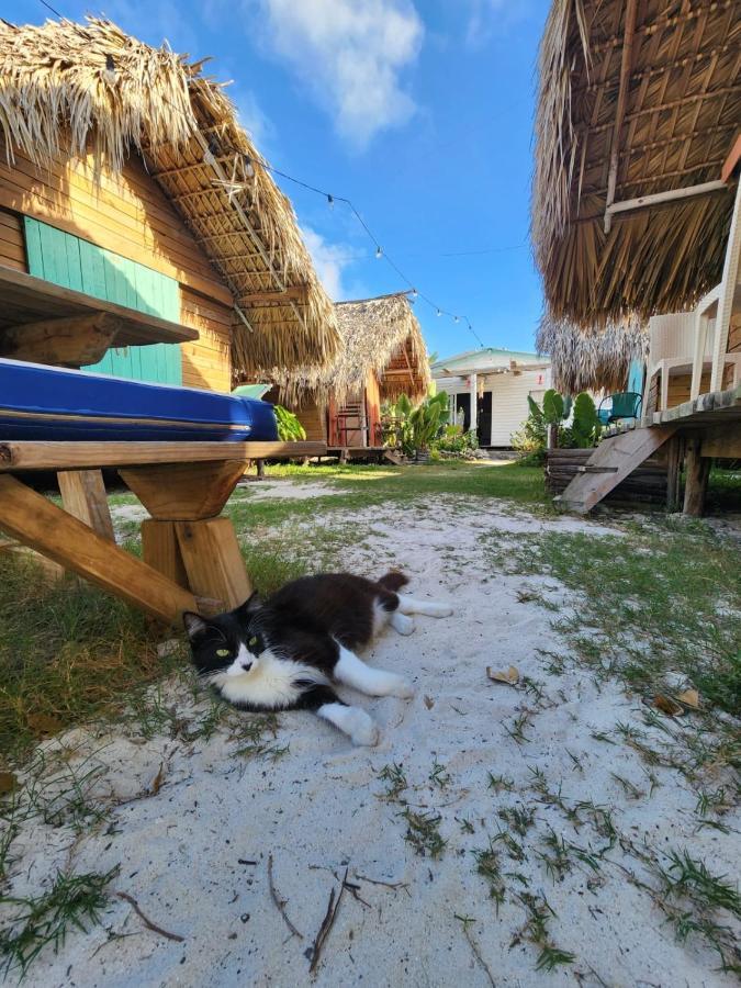 Saona Lodge Mano Juan Exteriér fotografie