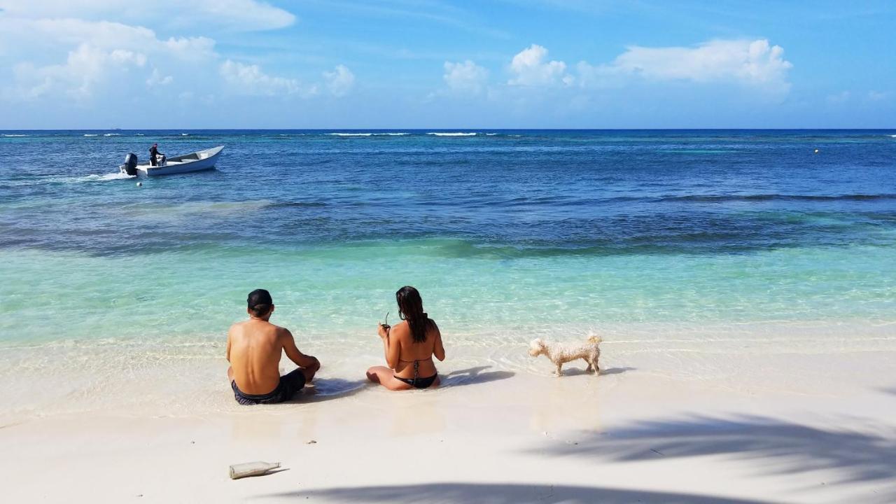 Saona Lodge Mano Juan Exteriér fotografie