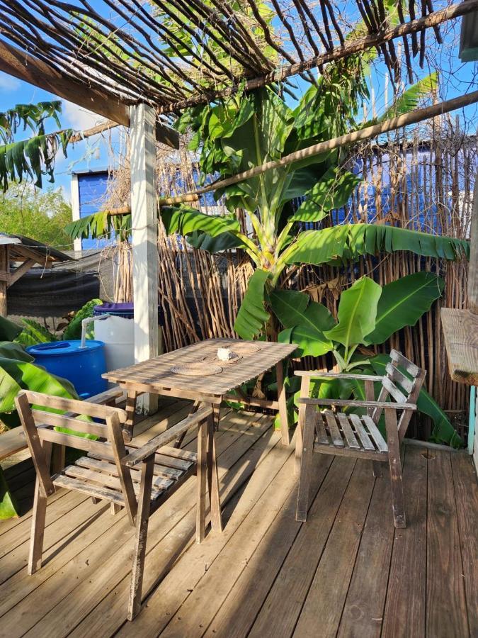 Saona Lodge Mano Juan Exteriér fotografie